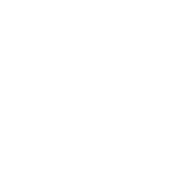 Acti logo