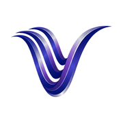 Videm logo